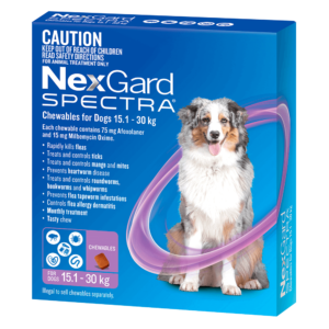 Nexgard SPECTRA Chews Dog Purple 15.1kg - 30kg