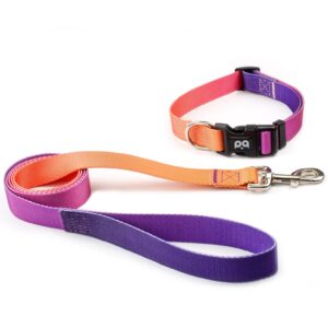 Sunset Gradient Dog Collar & Leash Set