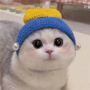 Cat Crochet Hat