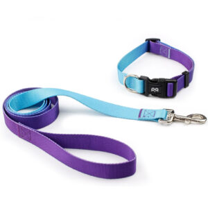 Ocean Breeze Gradient Dog Collar & Leash Set