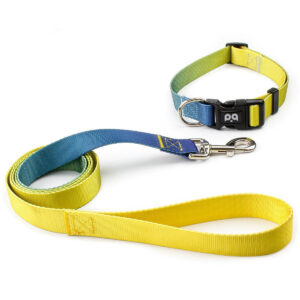 Colorblock Adjustable Dog Collar with Leash Set Yellow and Blue