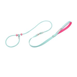 Petdora Soft Control Leash in Aqua & Pink