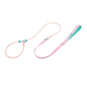 Petdora Soft Control Leash in Pink & Aqua
