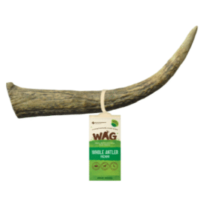 WAG Antler Whole – Medium
