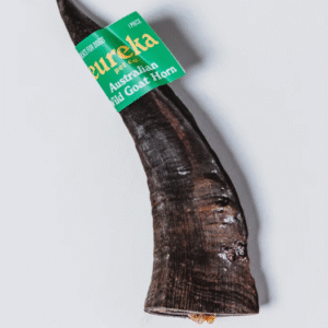 Eureka Groovy Goat Horn (Whole)