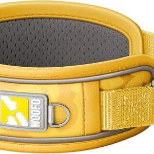 WOOFO Premium Dog Colla yellow
