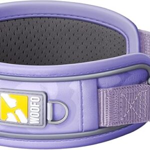 WOOFO Premium Dog Collar green