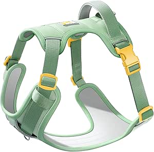 WOOFO Core Dog Harness green