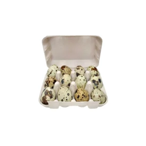 Freezy Paws Freeze Dried Quail Eggs – 12 Pack