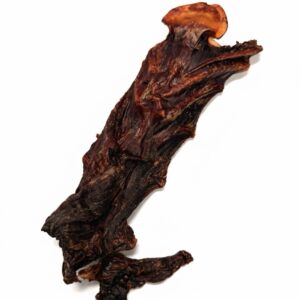 air dried kangaroo cheats bone