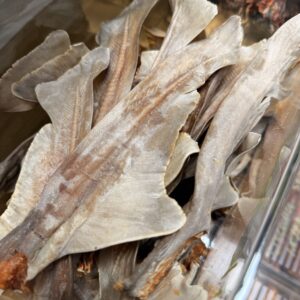 air dried shark tail