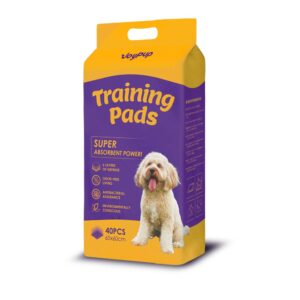 Joypup Super Absorbent Regular Training Pad 40pcs