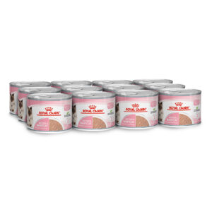 Royal Canin Mother & Babycat Soft Mousse Wet Cat Food 195g x 12